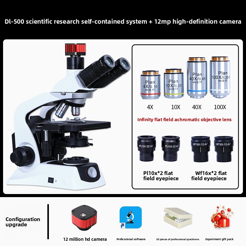 Mikroskop, Systemexperiment, U – Photography University Bewertung und Preis