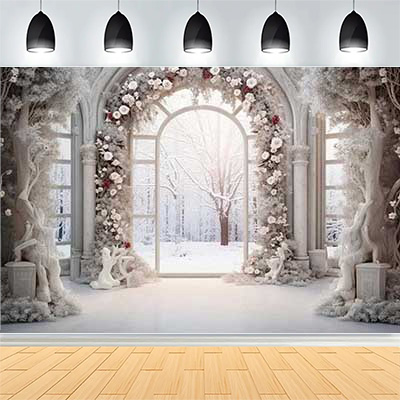 Indoor-Hintergrund für Brautfo – Photography Hp Bewertung und Preis