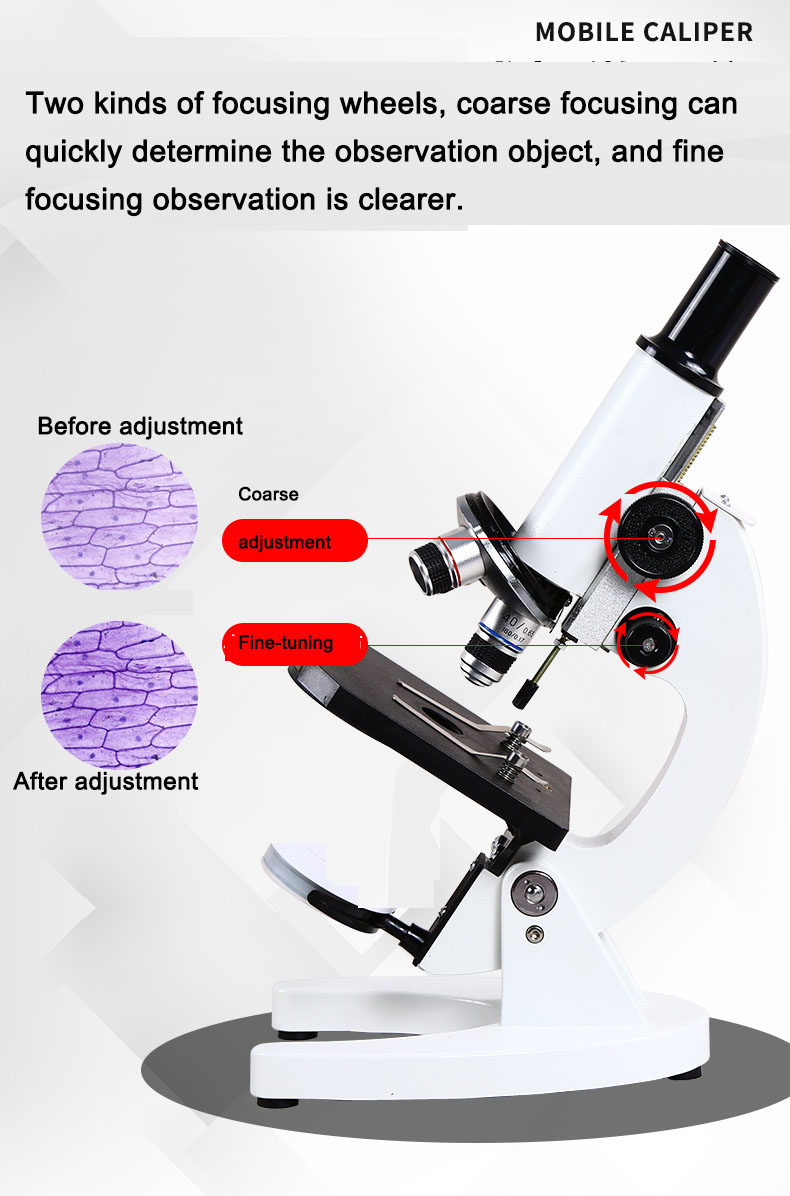 Optische Berufs Biologische Mi – Photography University Bewertung und Preis